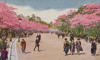 Christmas Trees - Single cherry blossom at Ueno Park Flower season at Tokyo by Timeless Images Archive