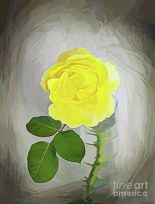 Roses Photos - Single Yellow Rose with Thorns 2 by Roberta Byram