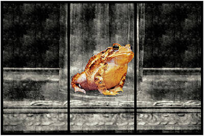 Mixed Media Royalty Free Images - Sitting Toad Royalty-Free Image by Constance Lowery