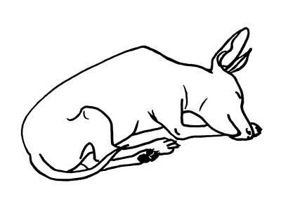 Mammals Drawings - Sleeping Dog by Masha Batkova
