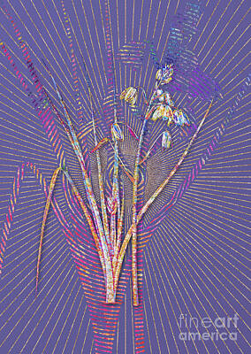 Nailia Schwarz Poppies Royalty Free Images - Slime Lily Mosaic Botanical Art on Veri Peri n.0357 Royalty-Free Image by Holy Rock Design