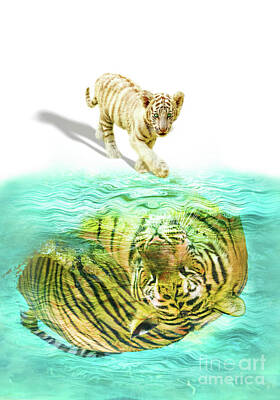 Sports Patents - Small tiger cub reflected by Benny Marty