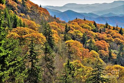 Michael Jackson Rights Managed Images - Smoky Mountain  Autumn 2 Royalty-Free Image by Dennis Nelson
