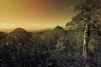 Vintage Ford - Smoky Mountains Forest Overlook by Norma Brandsberg