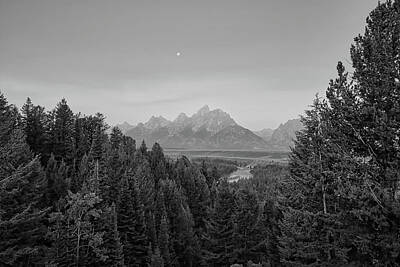 Reptiles Royalty Free Images - Snake River Overlook 1 Black and White Royalty-Free Image by Judy Vincent
