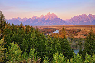 Reptiles Photos - Snake River Overlook 3 by Judy Vincent