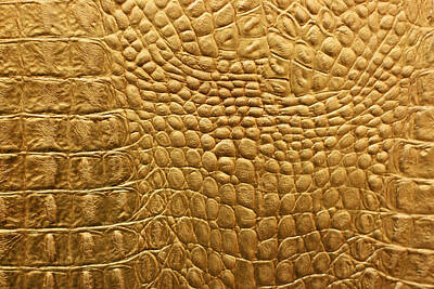 Reptiles Royalty-Free and Rights-Managed Images - Snakeskin Or Crocodile Texture by Julien