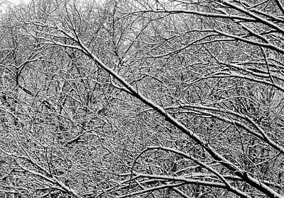 Cities - Snow and Trees 29 by Robert Ullmann