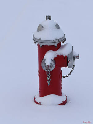 Whimsical Flowers - Snow Covered Fire Hydrant by Roberta Byram