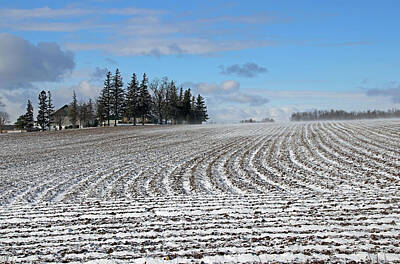 Printscapes - Snow Drifting Across The Field by Debbie Oppermann