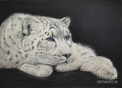 Portraits Royalty-Free and Rights-Managed Images - Snow Leopard - Silent Guardian - Pastel by Karen Conger