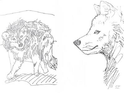 Animals Drawings - Snow Wolves 1 by Samuel Zylstra
