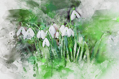 Cultural Textures - Snowdrops by Art By Jeronimo
