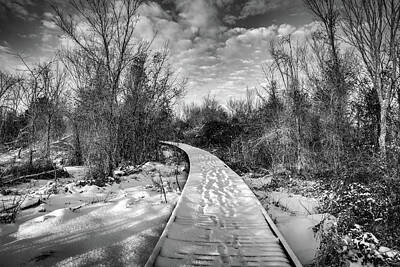 Mammals Photos - Snowy Boardwalk Along Osage Park In Black and White by Gregory Ballos