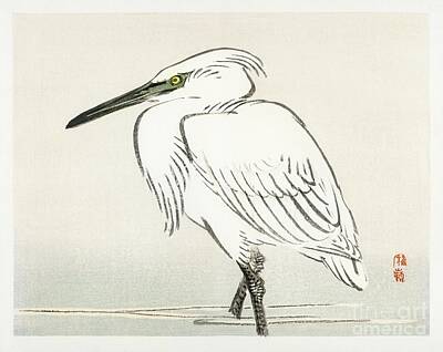 Red Foxes - Snowy egret by Kono Bairei  1844-1895  by Shop Ability