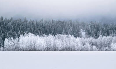 Circle Abstracts - Snowy Forest and Field by Nate Hovee