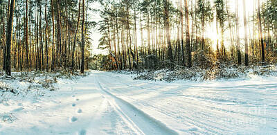 Farmhouse Rights Managed Images - Snowy road in forest sunset time horizontal panorama Royalty-Free Image by Dmytro Mykhailov