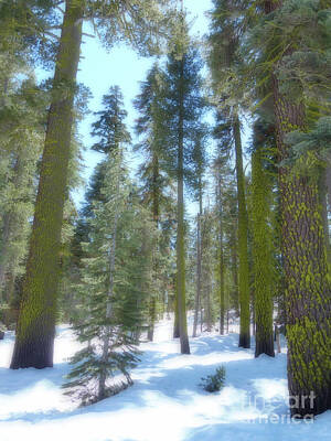 Gaugin Royalty Free Images - Snowy Trees 2 Royalty-Free Image by Connie Sloan