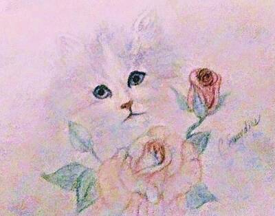 Roses Drawings - Soft Kitty by Christy Saunders Church