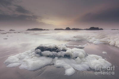 Beach Photo Rights Managed Images - Soft Sea Foam on the Beach Royalty-Free Image by Masako Metz