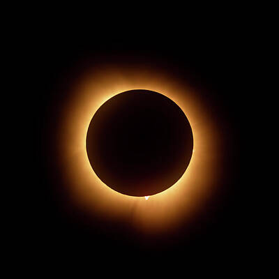 Aretha Franklin - Solar Eclipse Corona 2024 by Dale Kincaid