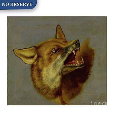 Beer Painting Rights Managed Images - Sold Without Reserve Flemish School circa 1800 A sketch of a head of a fox Royalty-Free Image by Artistic Rifki