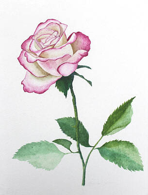 Roses Paintings - Solemn Rose by Cory Calantropio