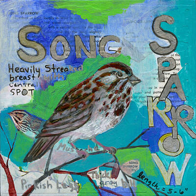 Royalty-Free and Rights-Managed Images - Song Sparrow by Jennifer Lommers