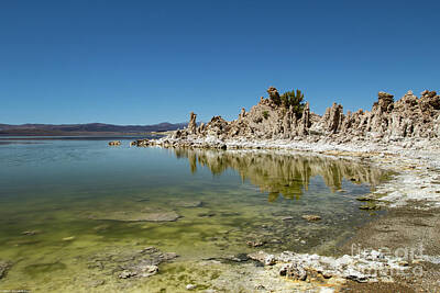 Mother And Child Paintings - South Tufas Mono Lake by Mitch Shindelbower
