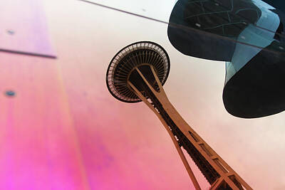 Sultry Plants Rights Managed Images - Space Needle in reflection Royalty-Free Image by Aashish Vaidya