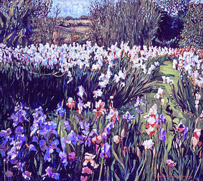 Winter Snowman - Spring Irises by David Lloyd Glover