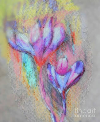 Drawings - Spring Miracles by Mindy Newman