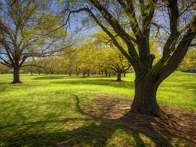 Brad Mangas Royalty-Free and Rights-Managed Images - Spring Playground by Brad Mangas