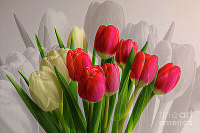Impressionism Photo Royalty Free Images - Spring reds Royalty-Free Image by Veikko Suikkanen