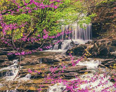 Royalty-Free and Rights-Managed Images - Spring Waterfall Along Tanyard Creek Bella Vista Arkansas by Gregory Ballos