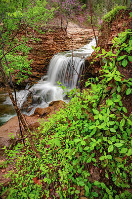 Popsicle Art Royalty Free Images - Spring Waters of Tanyard Creek Falls - Bella Vista Arkansas Royalty-Free Image by Gregory Ballos