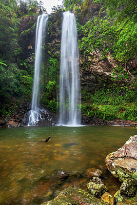 Animals And Earth Rights Managed Images - Springbrook twin falls DSC_2736 Royalty-Free Image by Stephen Reid