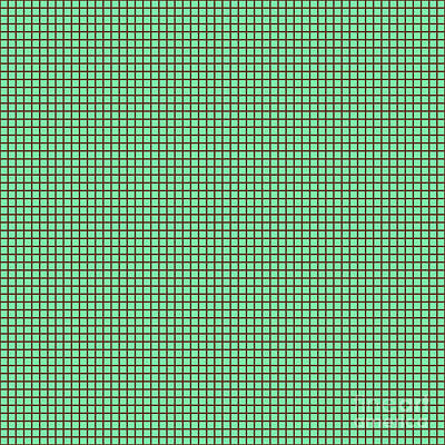 Royalty-Free and Rights-Managed Images - Square Grid Lattice Pattern In Mint Green And Chocolate Brown n.1149 by Holy Rock Design