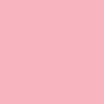 Royalty-Free and Rights-Managed Images - Squid Pink by TintoDesigns