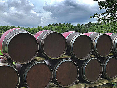 Lori A Cash Royalty-Free and Rights-Managed Images - Stack of Barrels at Vineyard by Lori A Cash