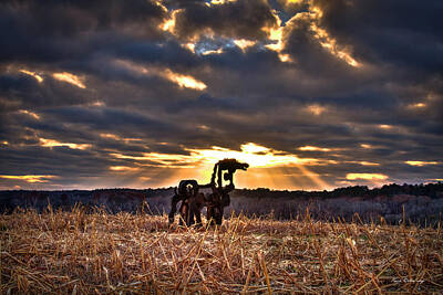 Animals Photos - Stairways To Heaven The Iron Horse Farm UGA Farming Art by Reid Callaway