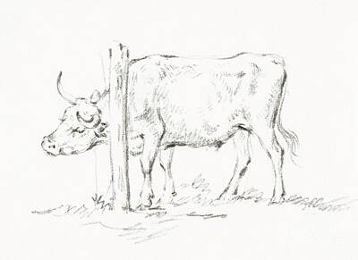 Fruits And Vegetables Still Life - Standing cow, with its head between poles by Jean Bernard 1775-1883 by Shop Ability