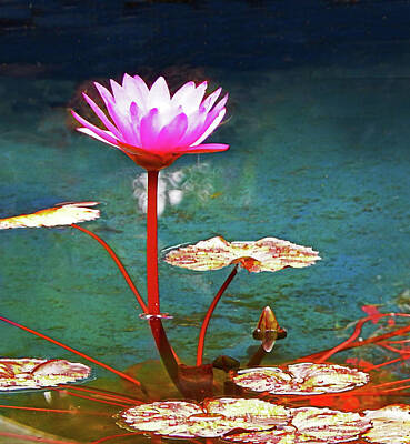 Lilies Mixed Media - Standing Lotus			 by Sharon Williams Eng