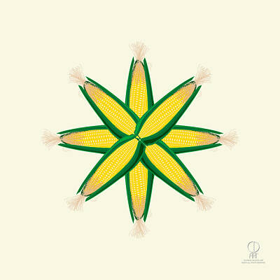 Food And Beverage Drawings - Star Corn Flower by Charles Dancik