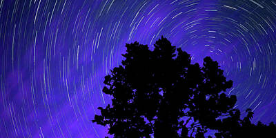 Royalty-Free and Rights-Managed Images - Star Trails In the Night Sky Panorama by Gregory Ballos