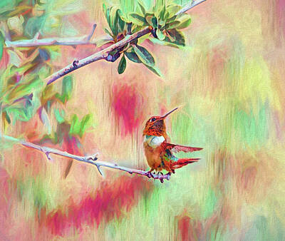 Anne Geddes Collection Rights Managed Images - Startled Hummingbird Abstract 1 Royalty-Free Image by Linda Brody