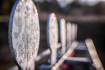 Mother And Child Animals - Steel Plate Rack Bokeh by Marnie Patchett