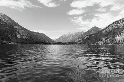 Birds Royalty-Free and Rights-Managed Images - Stehekin in black and white by Jeff Swan