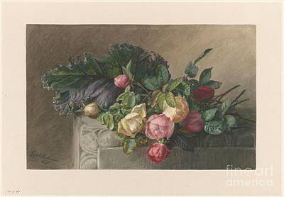 Roses Paintings - Still life with roses and cabbage leaf, Gerardina Jacoba van de Sande Bakhuyzen, 1836 - 1895 by Shop Ability