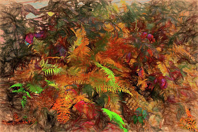 Abstract Flowers Royalty-Free and Rights-Managed Images - Still Life with Wood Ferns by Wayne King